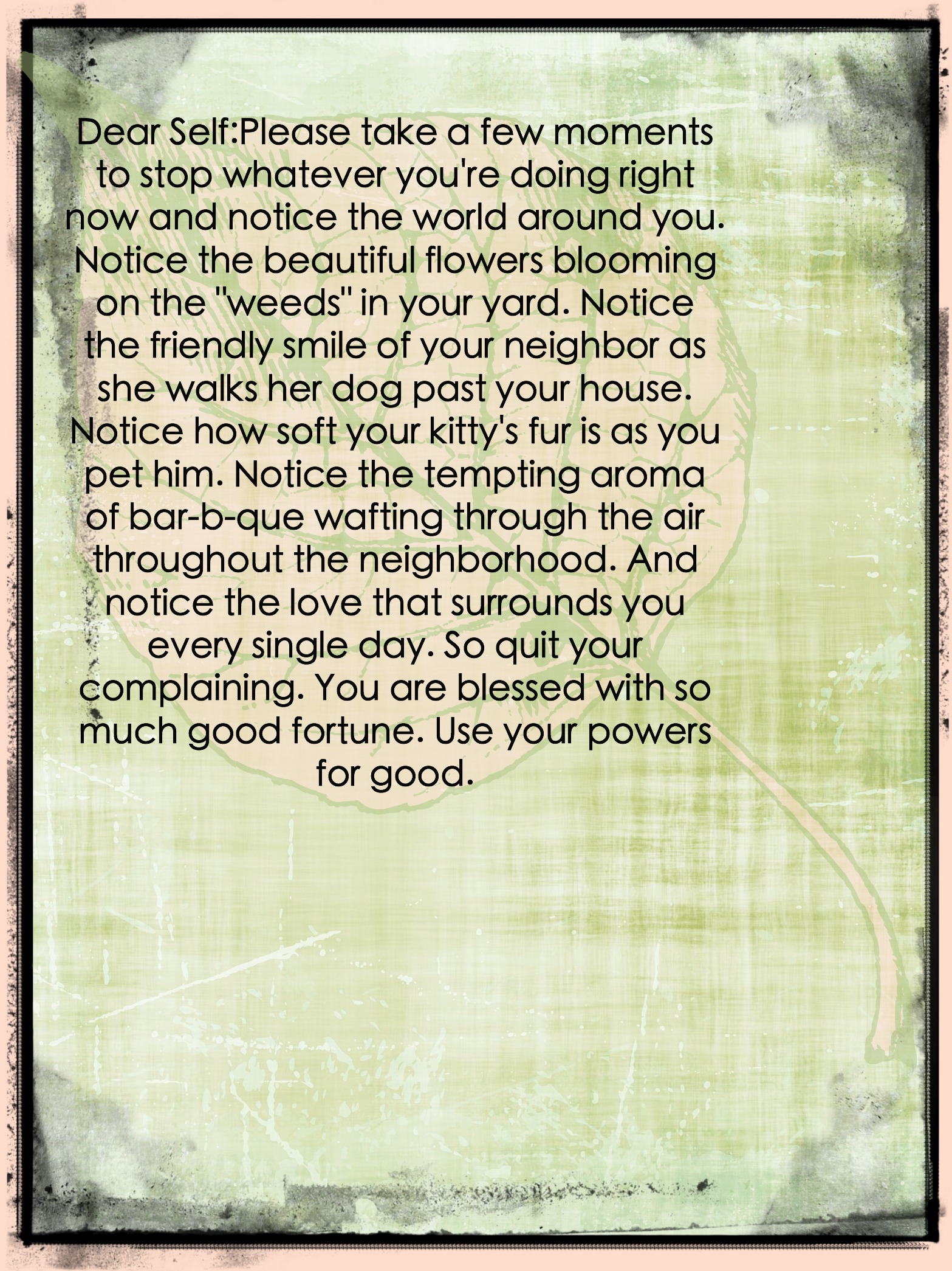 Dear Self