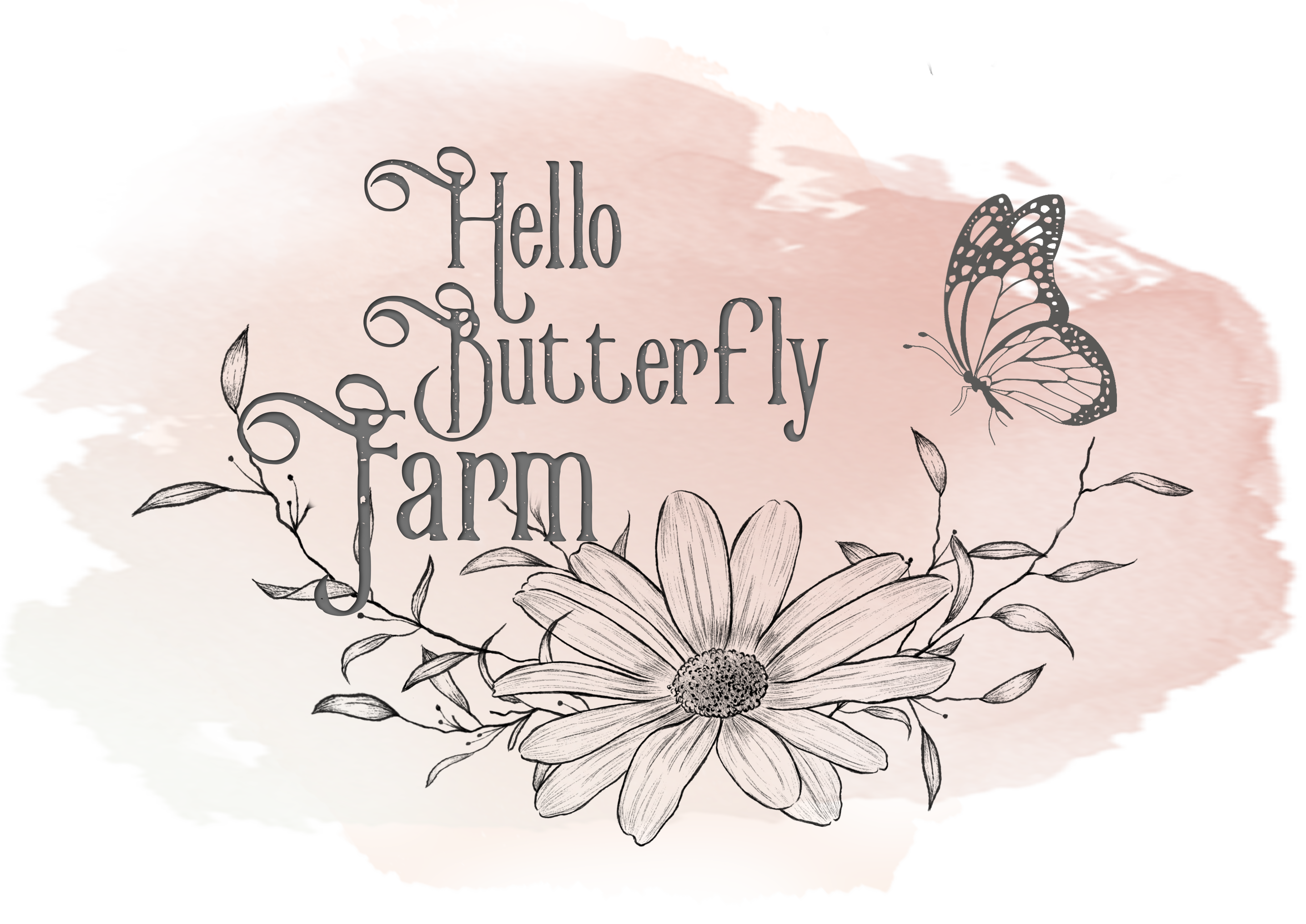 Hello Butterfly! 